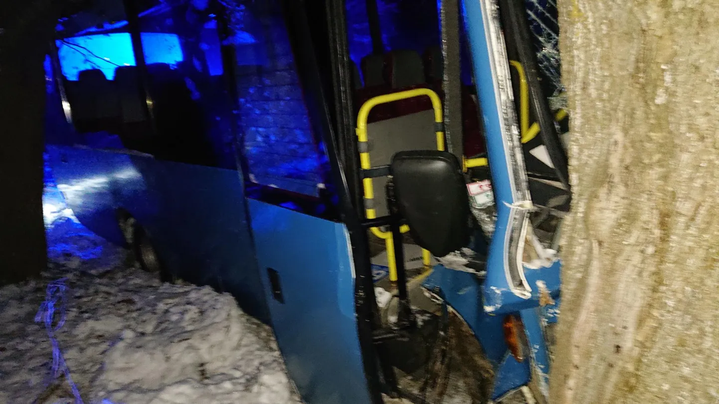 Liinibuss sõitis Varangul vastu puud.