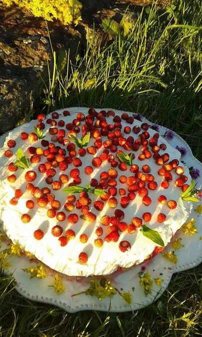Artikli foto