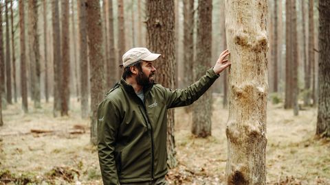 Viena diena biotopā jeb lietas, ko tu nezināji par mežu kopšanu