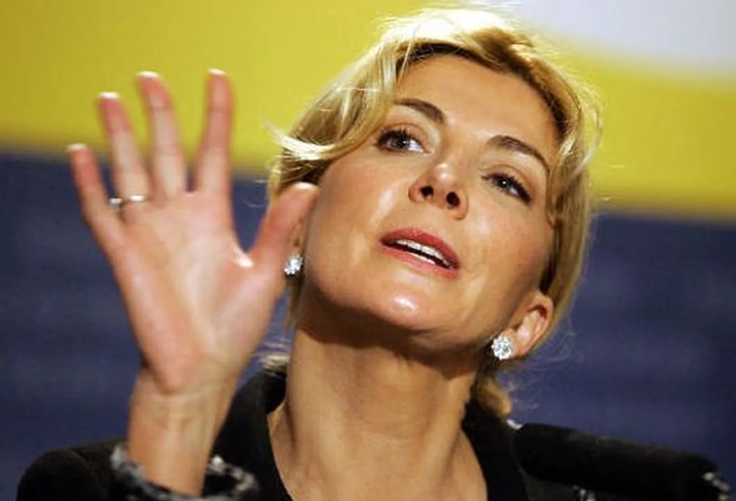 Natasha Richardson