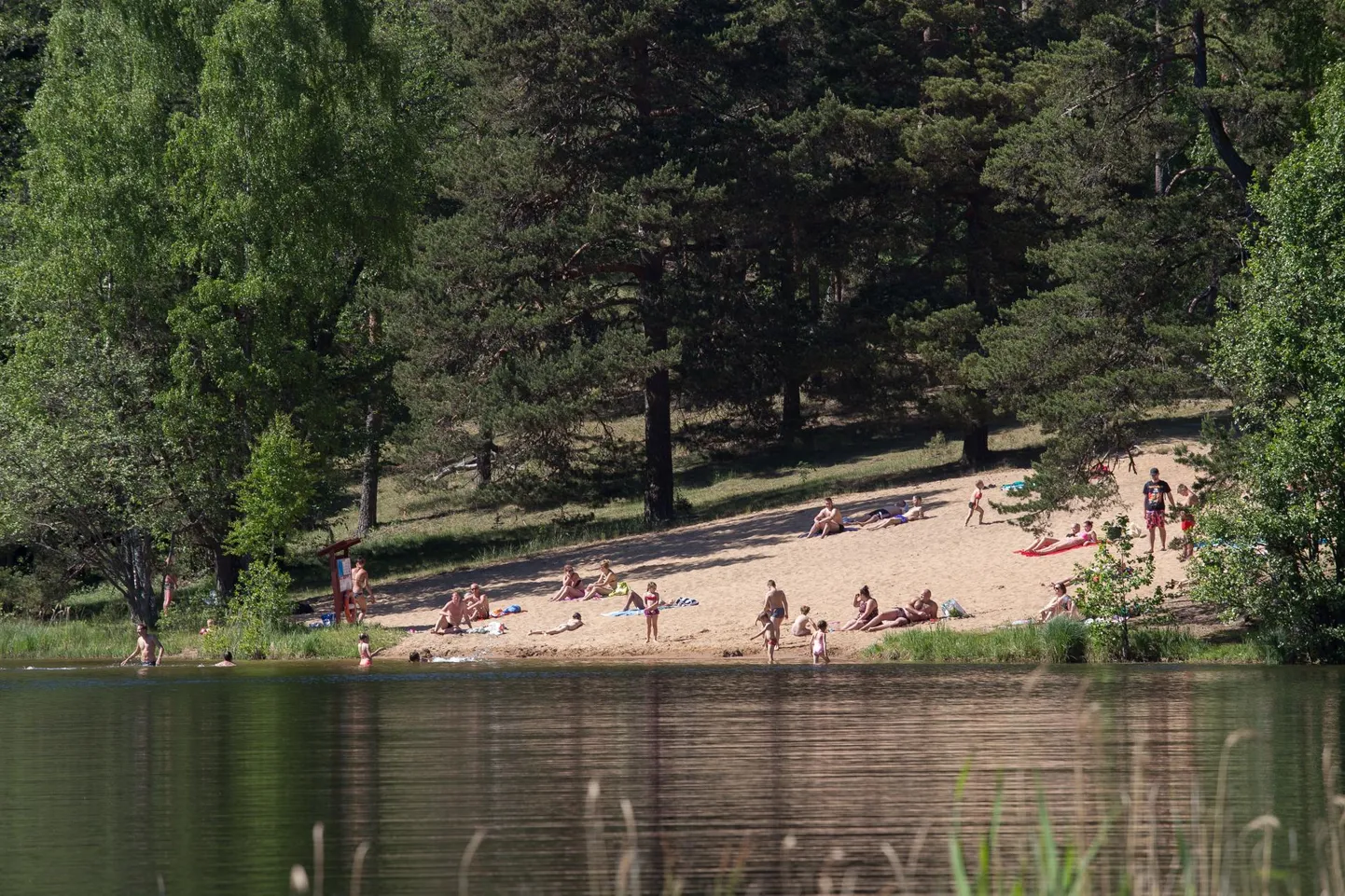 Viitna järve ääres peesitab palju inimesi.