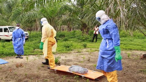 Guinea kaguosas suri ebolasse neli inimest