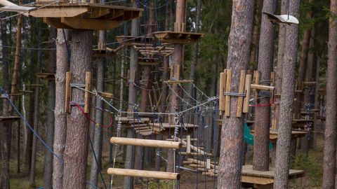 Elamuspark jagas Eesti koolidele 50 000 euro väärtuses kinkekaarte
