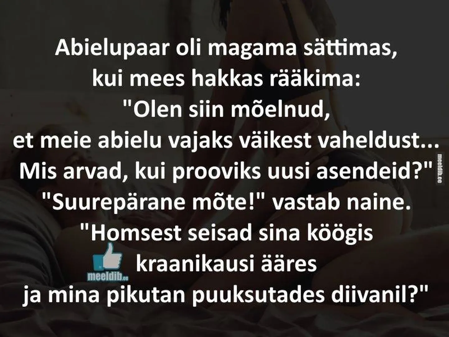 Artikli foto