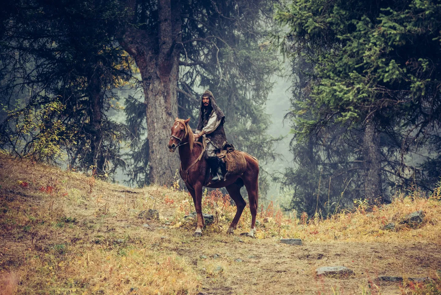 Artikli foto