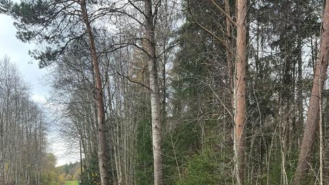 Kevadpealinnas valmistutakse suusahooajaks