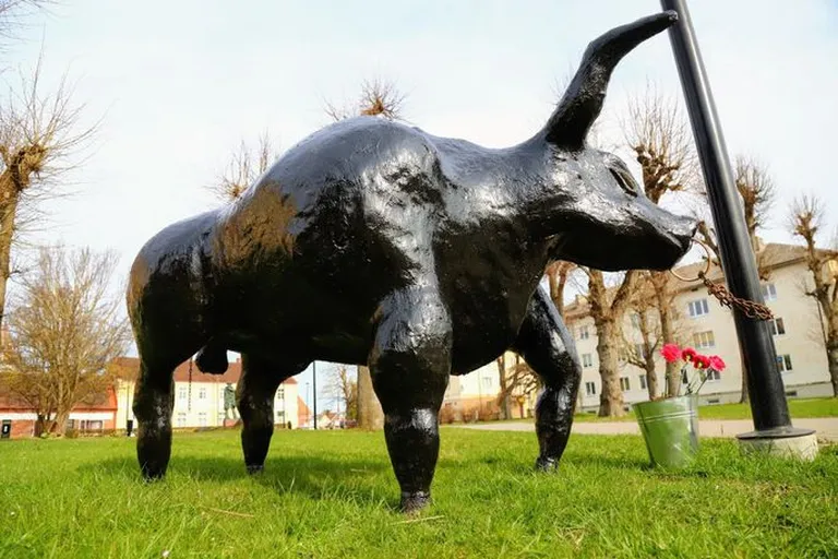 Неясно, кто послужил моделью для скульптура - обычный бык, легендарный тур или логотип футбольного клуба Tarvas.