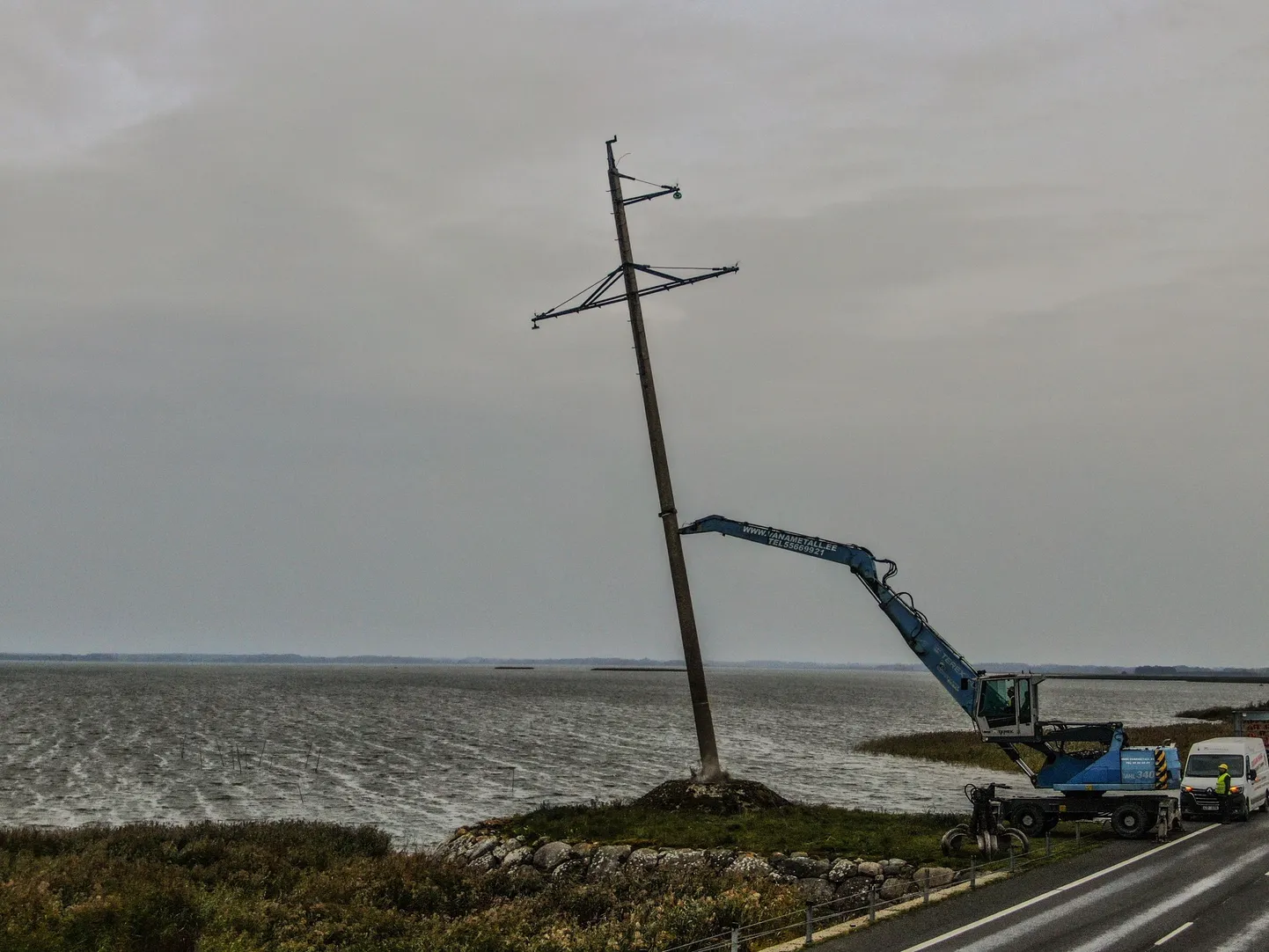 ELERING eemaldas septembris väinatammilt Natura 2000 hoiuala lindude lennuteed ohustanud kõrgepingeliinid, mida asendavad nüüd elustikule turvalised merekaablid.