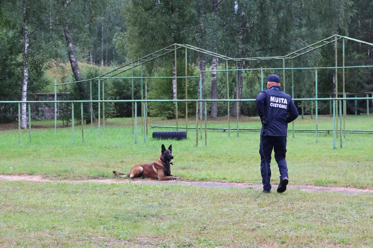 Raksta foto