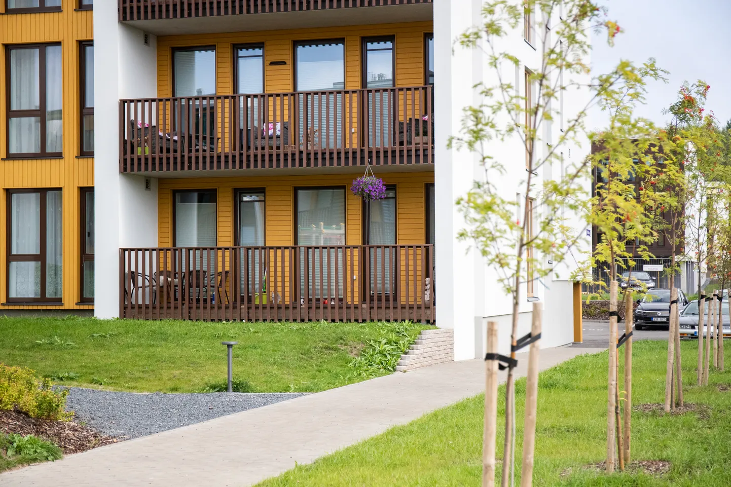 Päranduseks saadud elupinnad tekitavad endiselt segadust.