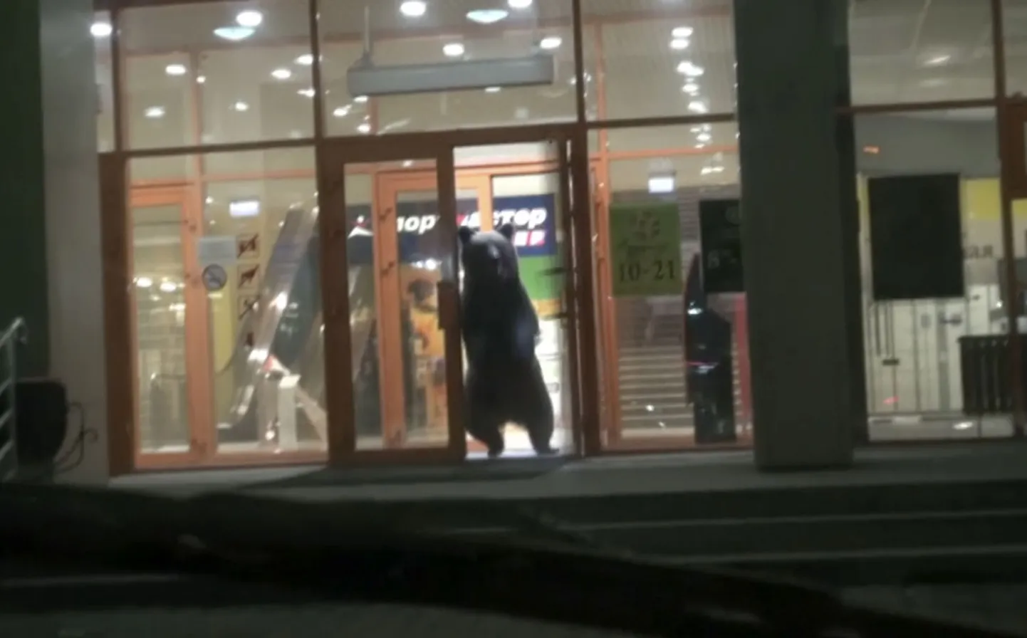 Karu Habarovski ostukeskuses