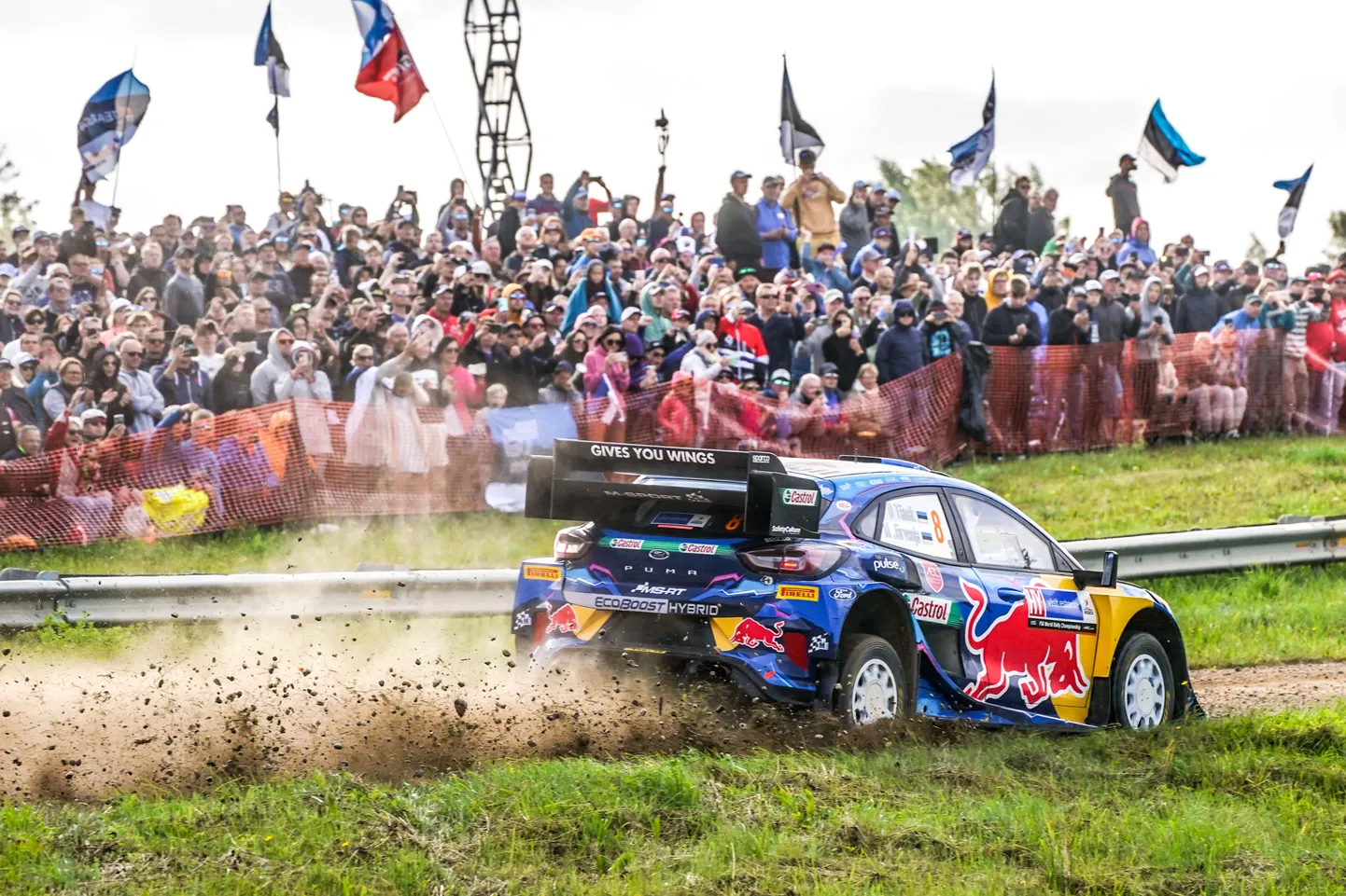 Ott Tänak ja Martin Järveoja pidid Rally Estonial leppima kaheksanda kohaga.