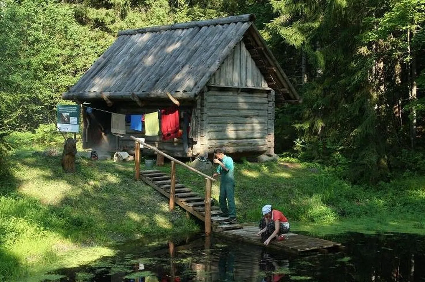 Pokumaa suitsusaun