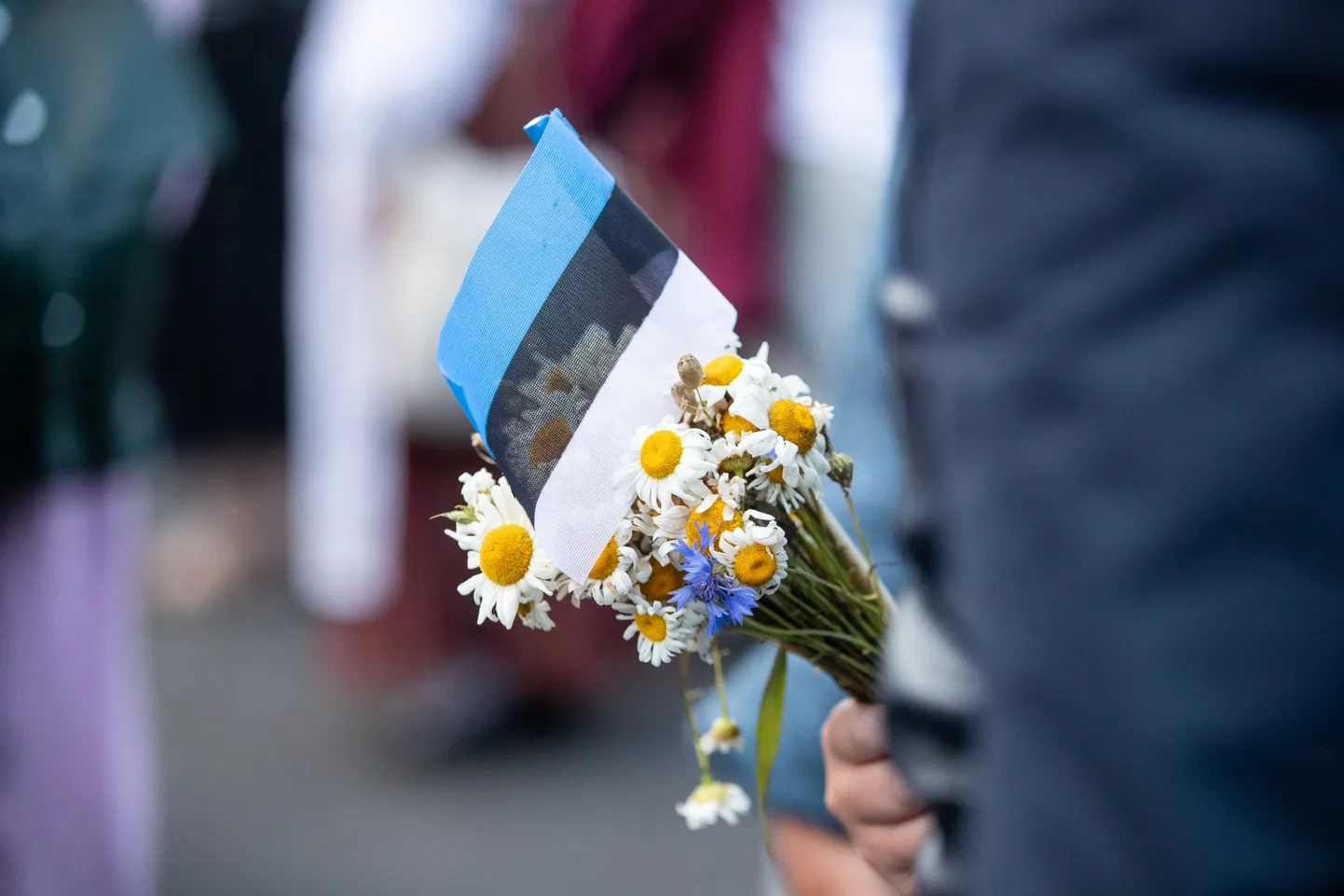 Laulupidu "Minu arm" teine kontsert lauluväljakul