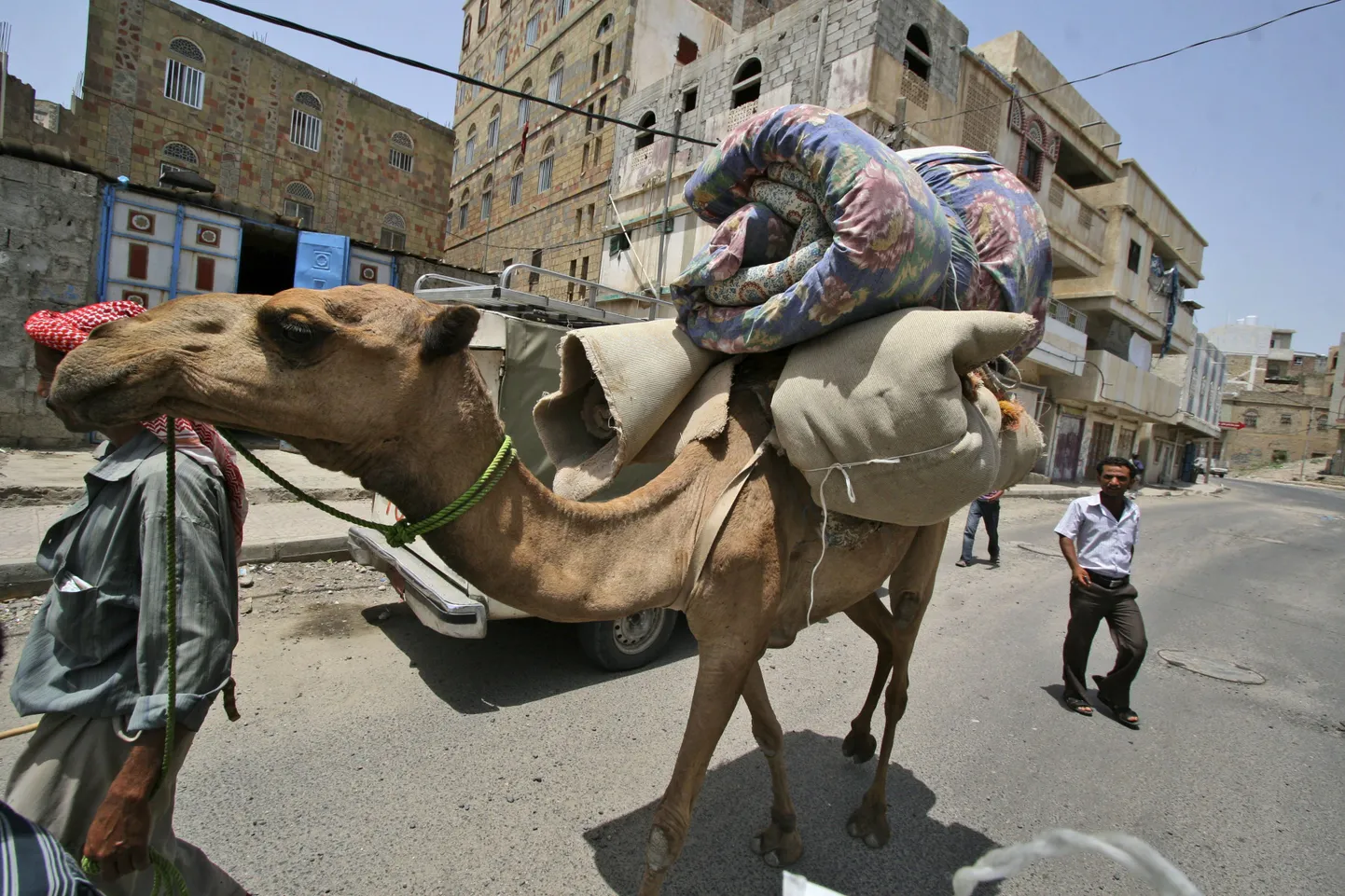 Kaamel.