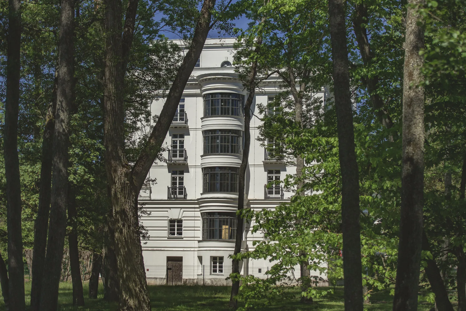 Фото статьи