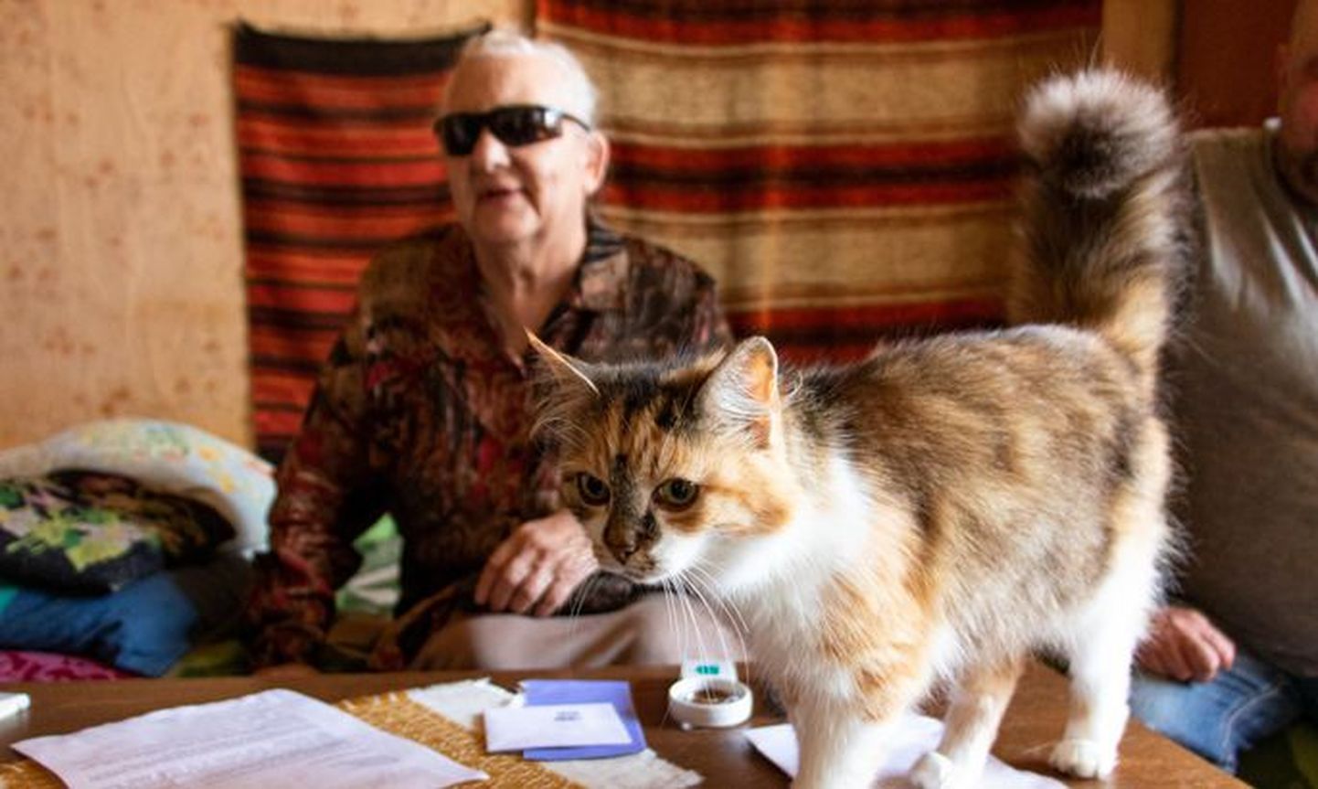 У 83-летней Майму Парм кардиостимулятор и серьезные проблемы со зрением, но после принудительного изменения личного кода ей стало сложно выписывать и выкупать лекарства, не говоря уже о попадании на прием к врачу.