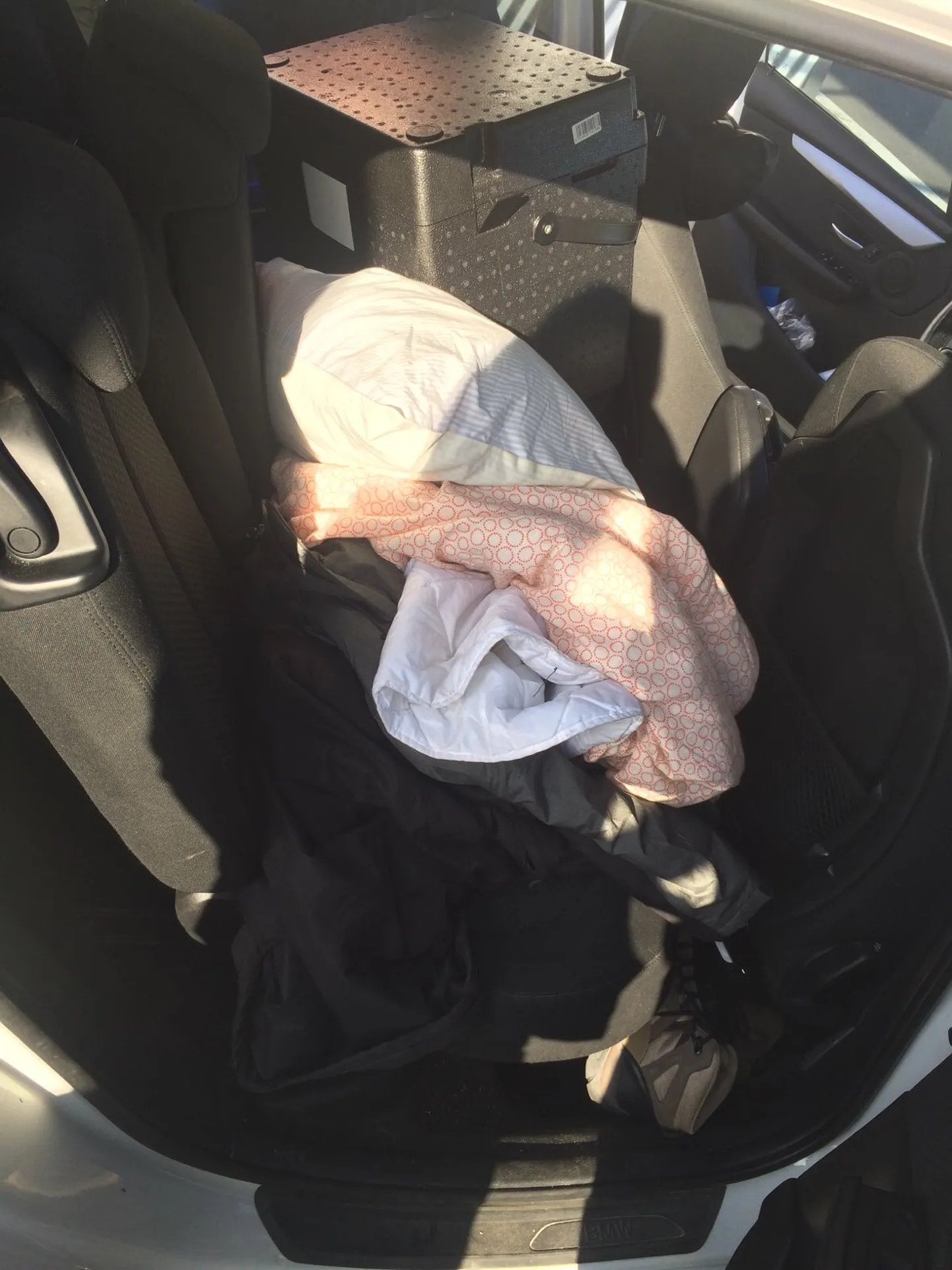 Augustis leiti ebaseaduslikult Eestisse tulnud iraaklane Tallinna sadamas Soome laevale suunduva auto pagasiruumist.
