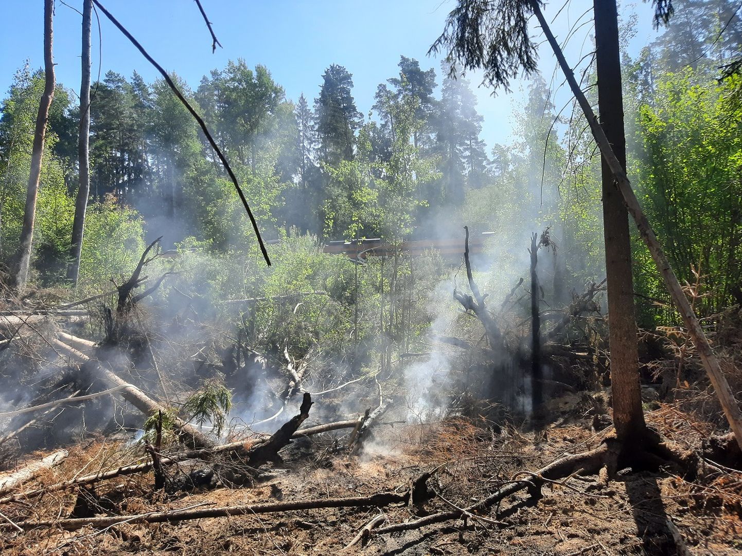 Päästjad leidsid põlenguala drooni abil. Süttinud oli pool hektarit metsaalust pinnast.