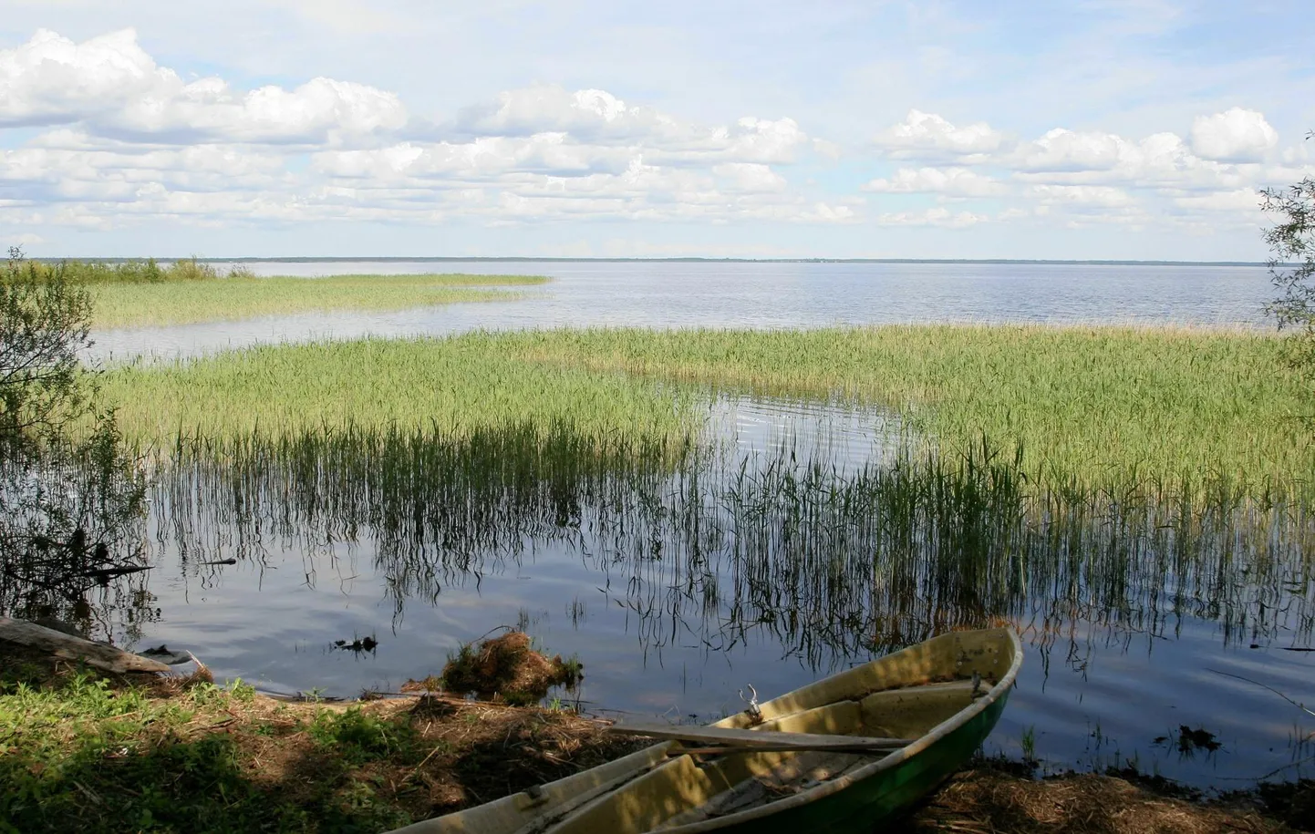 Võrtsjärve kaldapealne aerupaadiga. Foto on illustratiivne.