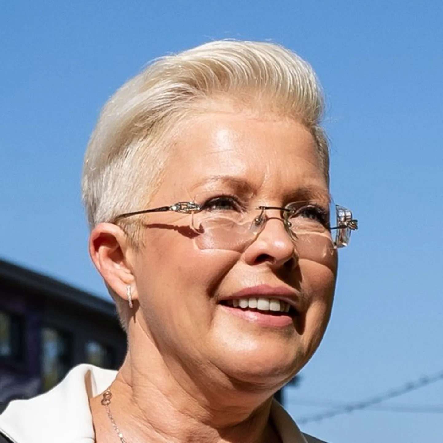 Evelin Ilves