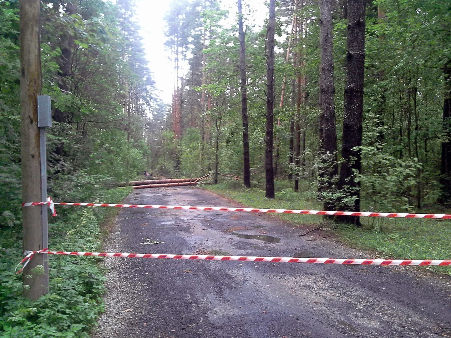 Äikesetormi tagajärjed Tartus. Pildil liiklusele suletud Kiigemäe tänav.