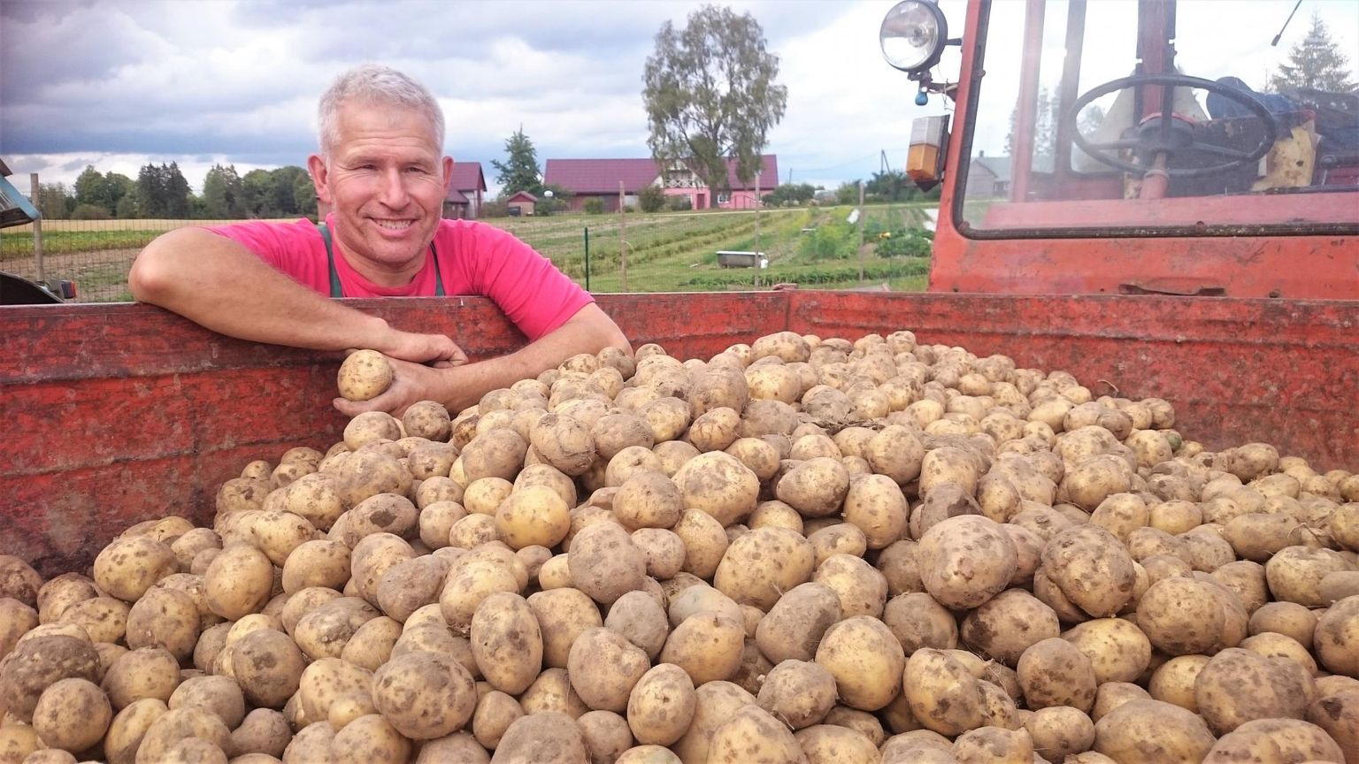 Rebase talu peremees Meelis Tiigemäe rõõmustab hea kartulisaagi üle.