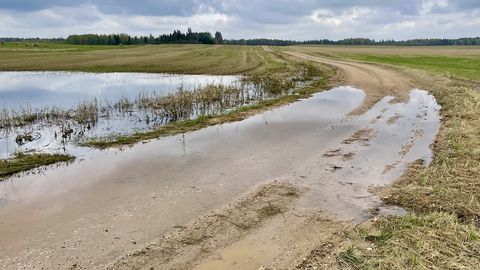 Hargla külatee on pidevalt vee all
