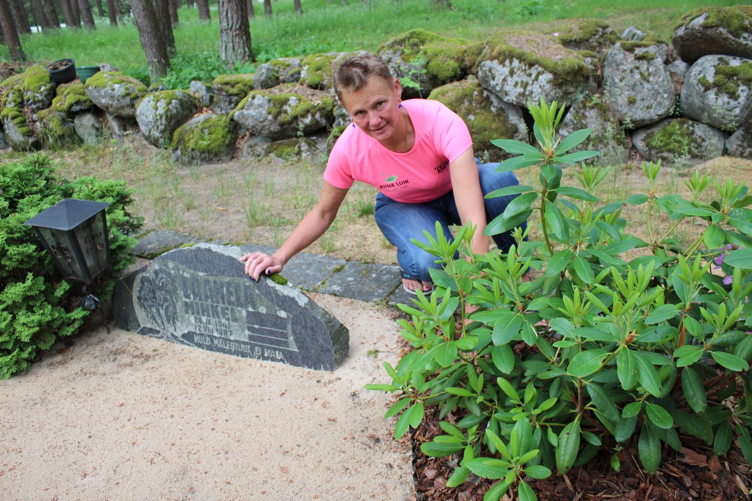 Haljastaja Riina Luik istutas isa kalmule rododendroni, sest hauaplats asub kalmistu nurgas. Igihaljas rododendronipõõsas ei varjuta teisi mälestusplatse ja sobib männimetsa alla.