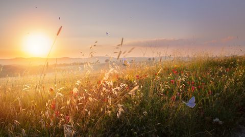 Otrdiena būs šīs nedēļas vienīgā siltā diena