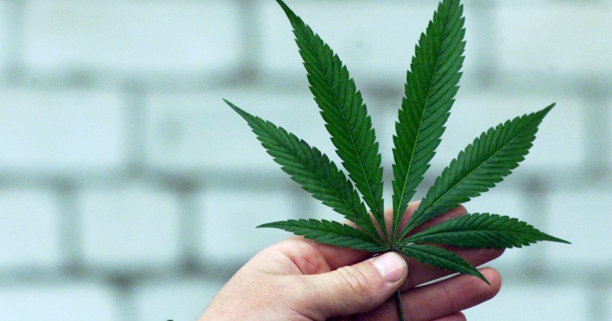 В эстонии легализовали марихуану диабет и медицинская марихуана