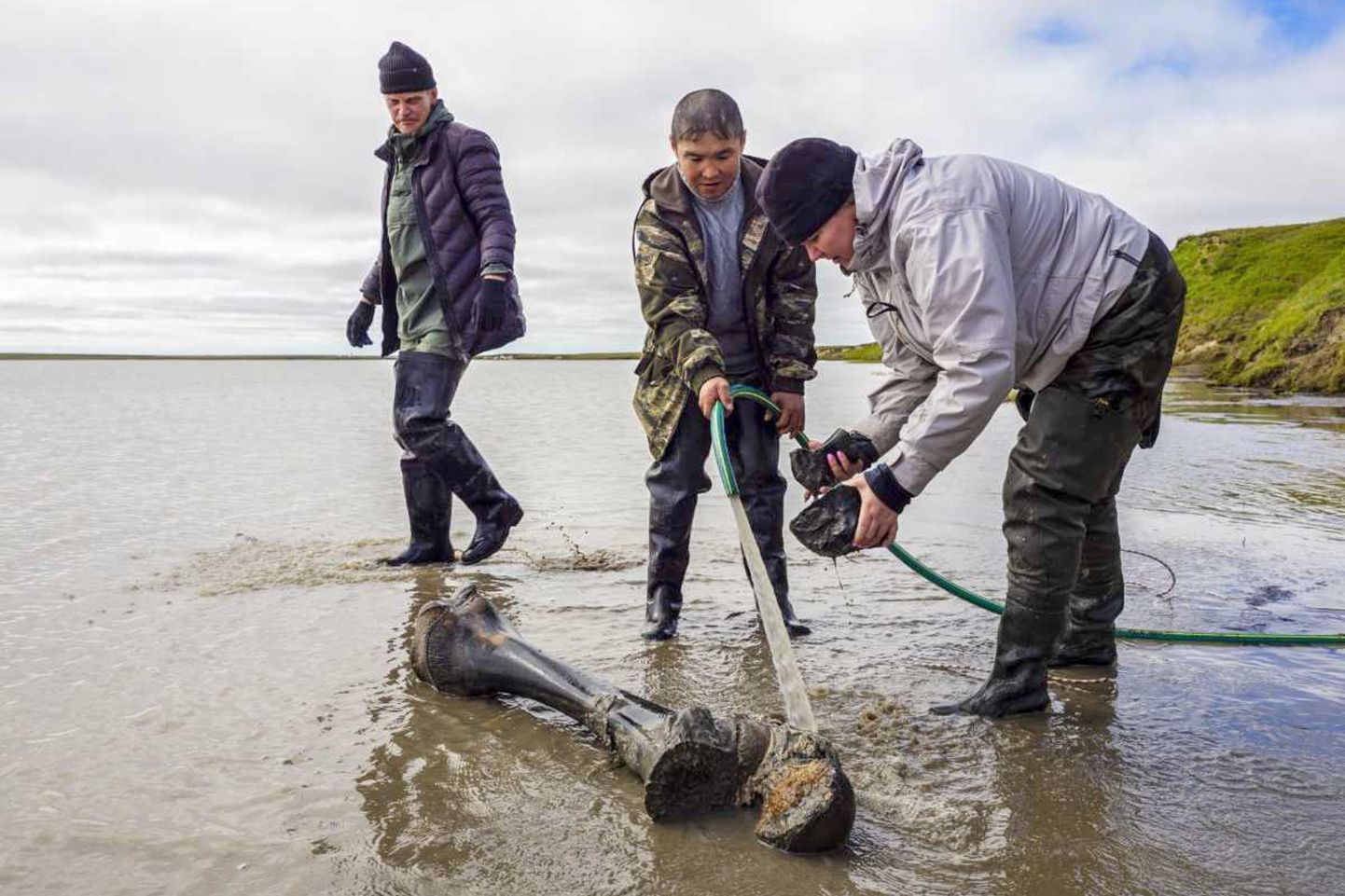 Venemaa polaaruuringute keskuse teadlased ja kohalik neenets Jamali poolsaare järvest leitud mammutiluudega