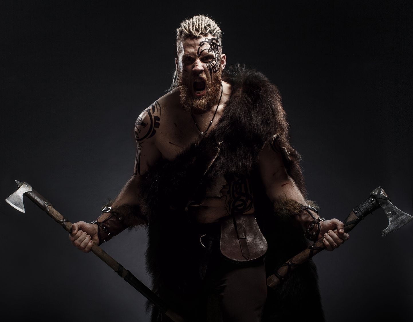 Viikingisõdalane. Pilt on illustreeriv