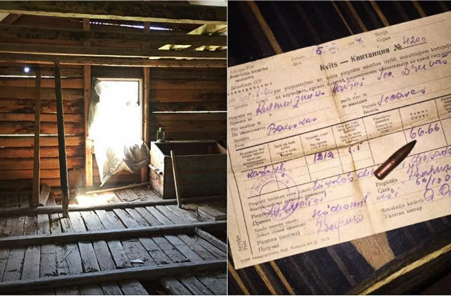 Фото статьи