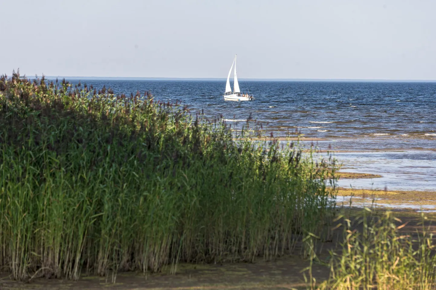 Peipsi järv.