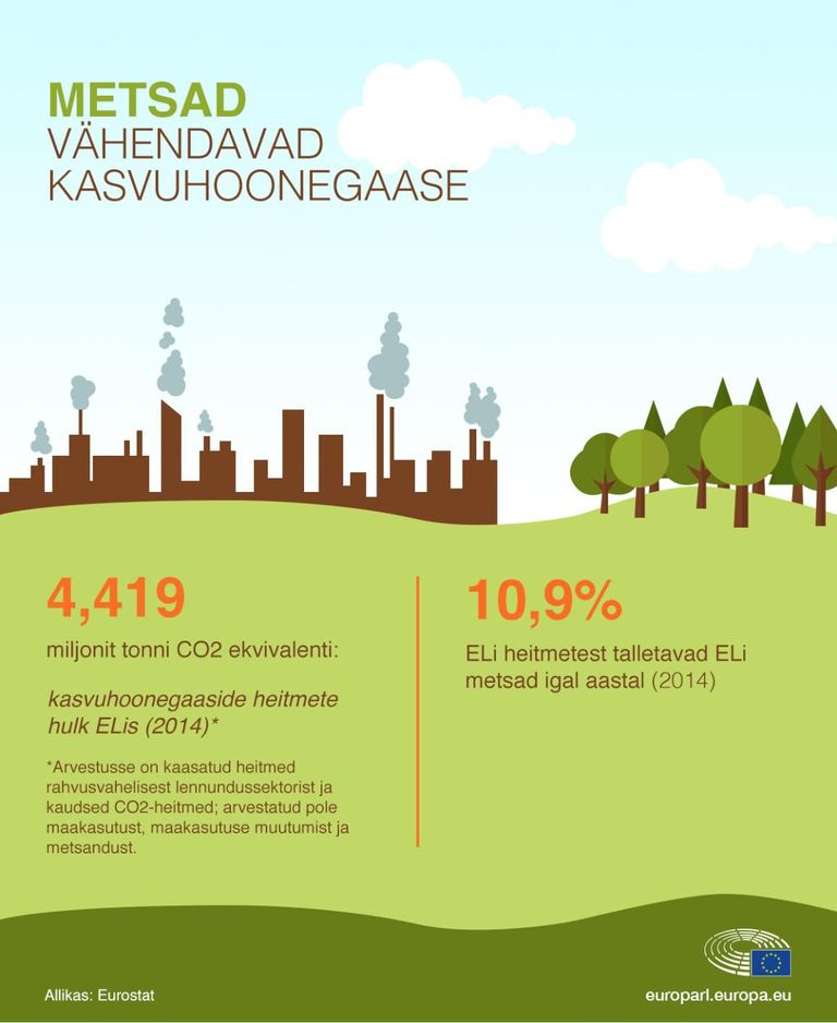 Metsad vähendavad kasvuhoonegaase / Eurostat