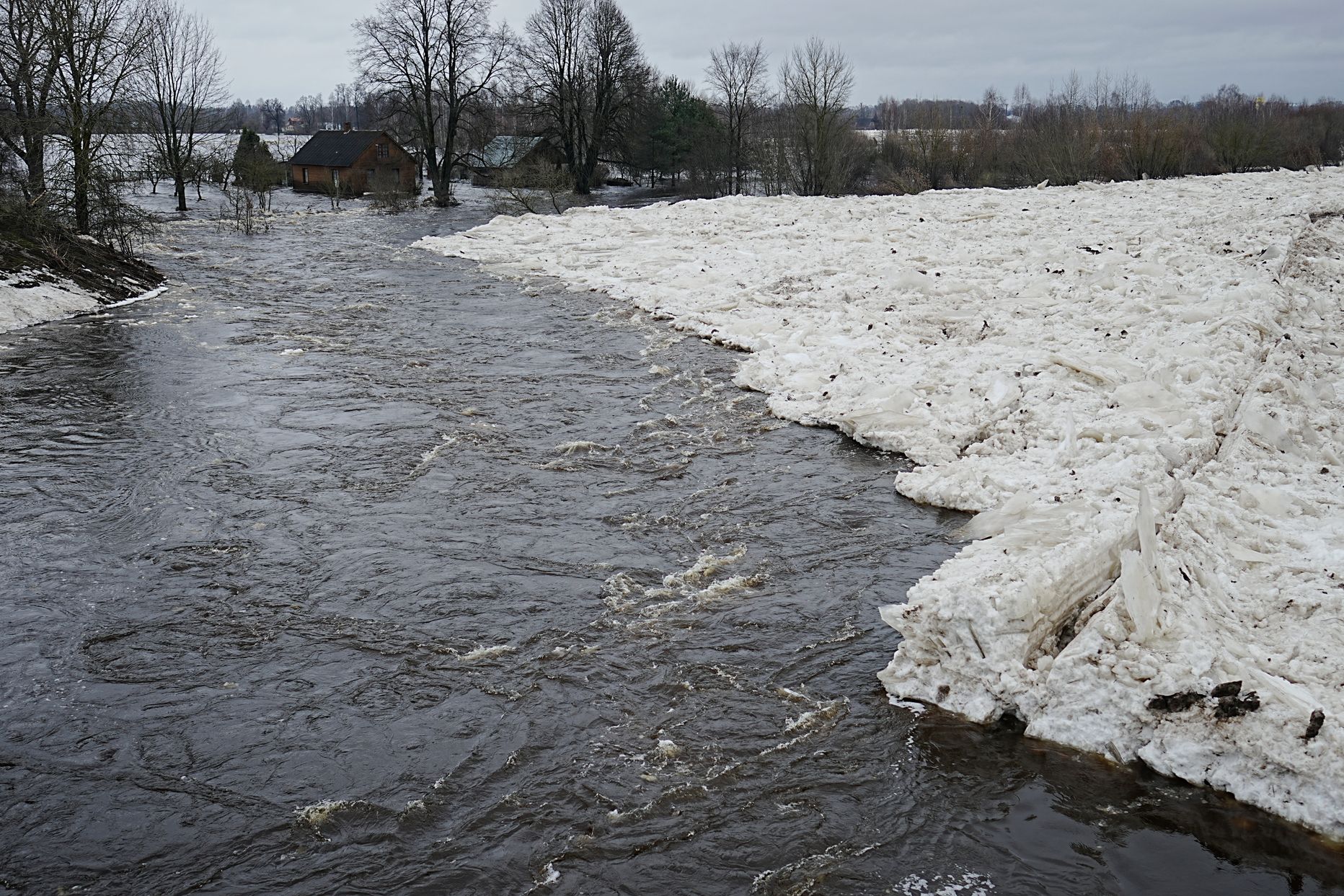 Daugava jõgi tulvab Jēkabpilsi piirkonnas.