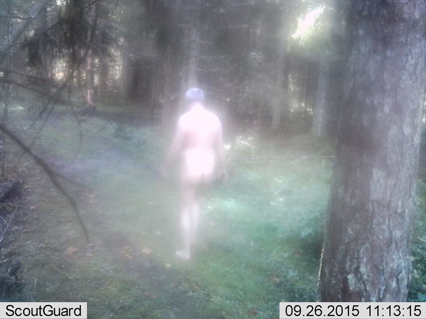 Снимки обнаженного мужчины в лесу Ляэнемаа.