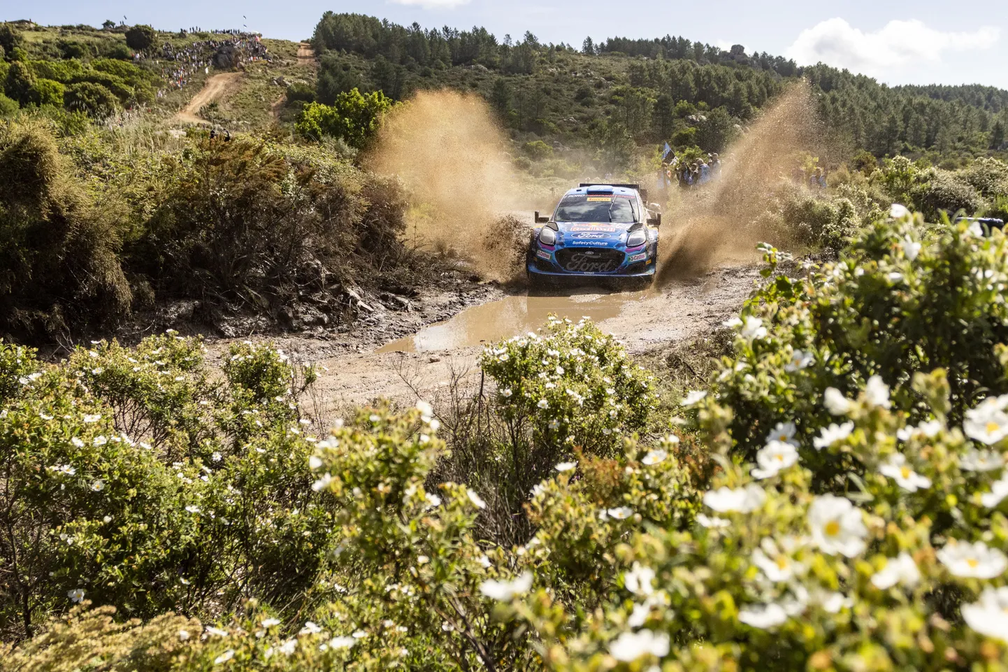 Ott Tänak.