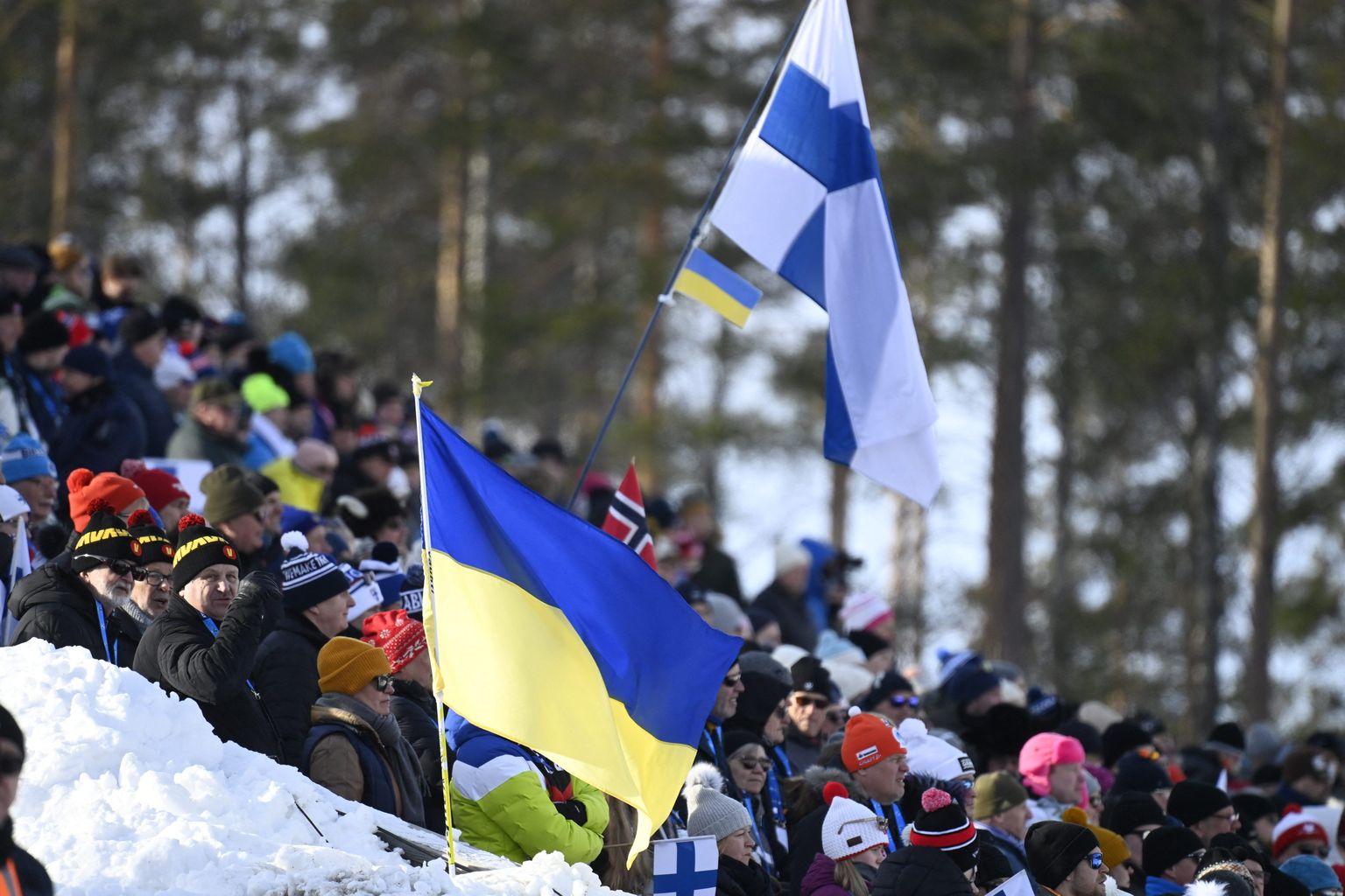 Ukrainia ja Soome lipud.
