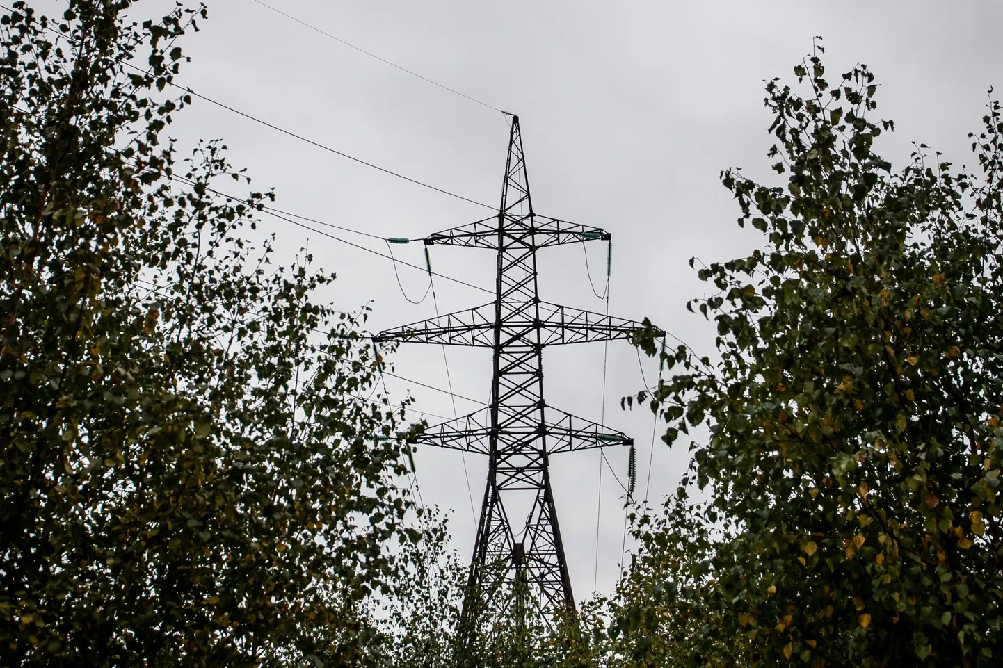 Detsembri teises pooles peaksid hoolduses olevad elektrijaamade seadmed hakkama töösse tagasi tulema ja see võiks olukorda leevendada.