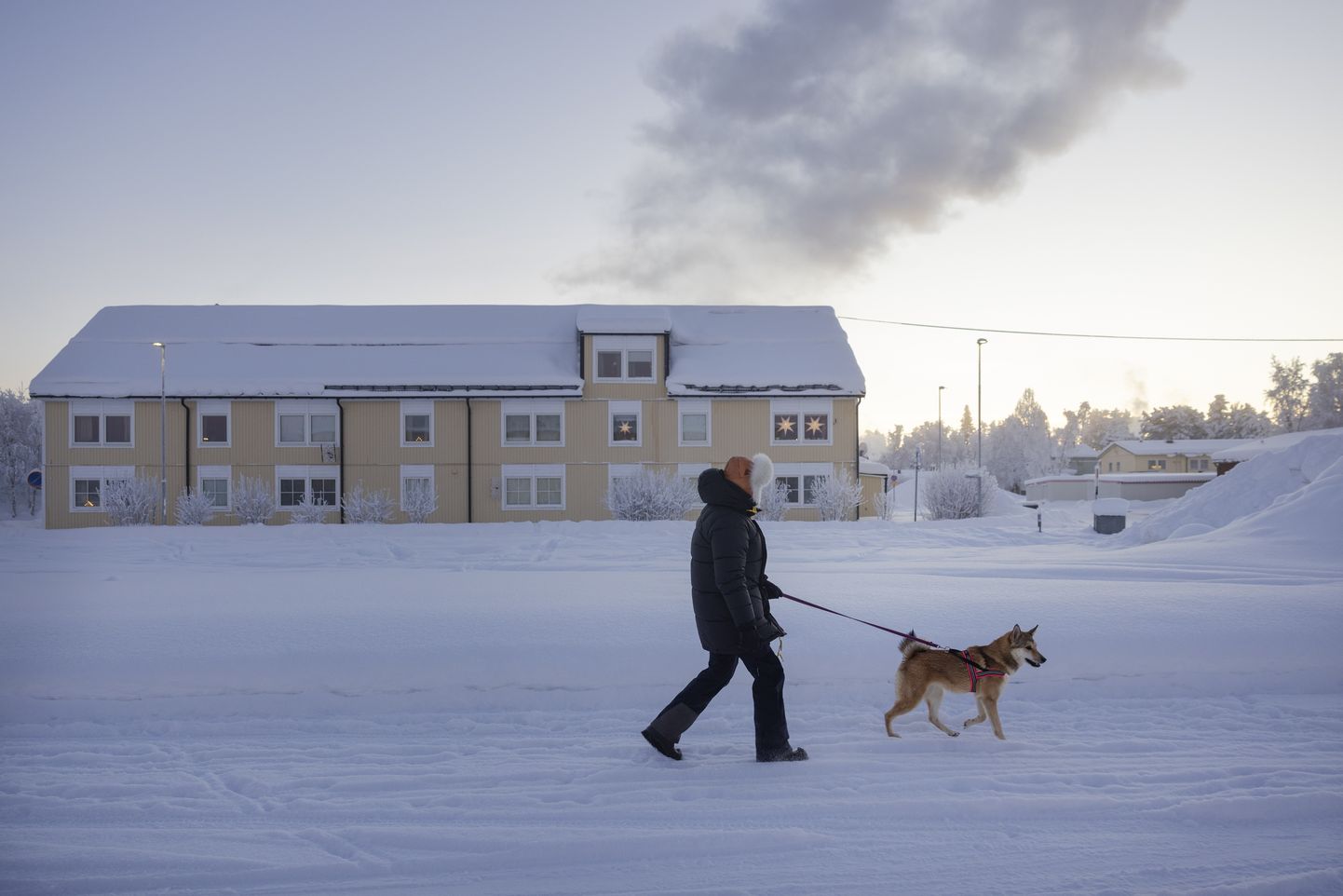 Inimene Kiruna vallas koeraga jalutamas.