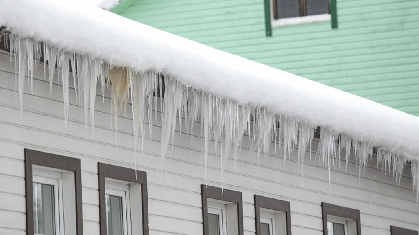 Sula on ka jääpurikad hoogsalt kasvama pannud