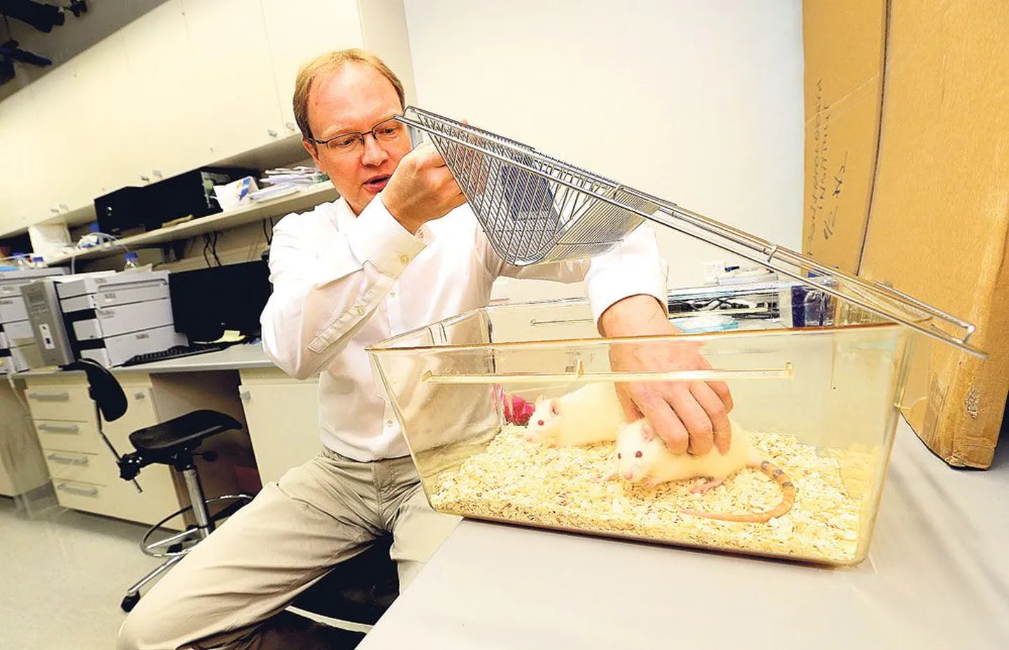 «Ütle, kas meil on mõni rott, keda võib tülitada,» küsib professor Jaanus Harro Chemicumis telefoniga rääkides. «Ahah, rotivanaemad,» lõpetab Harro kõne ja asetab mõni minut hiljem laborilauale kaks lumivalget närilist, kellel lõppesid äsja kõdikatsed. Ülikooli psühholoogide ja terviseteadlaste loodud, autokoolides kasutatava sekkumismetoodika väljatöötamine sai alguse laborirottidest.