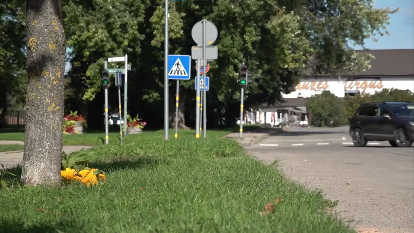 Raksta foto
