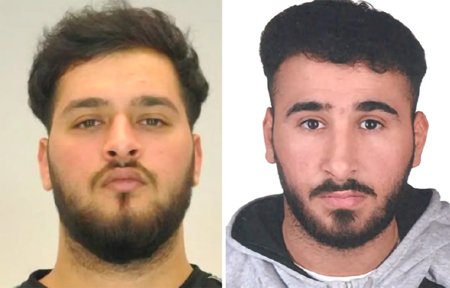 Dresdeni muuseumiröövi kahtlusalused Mohamed Remmo ja Abdul Majed Remmo.