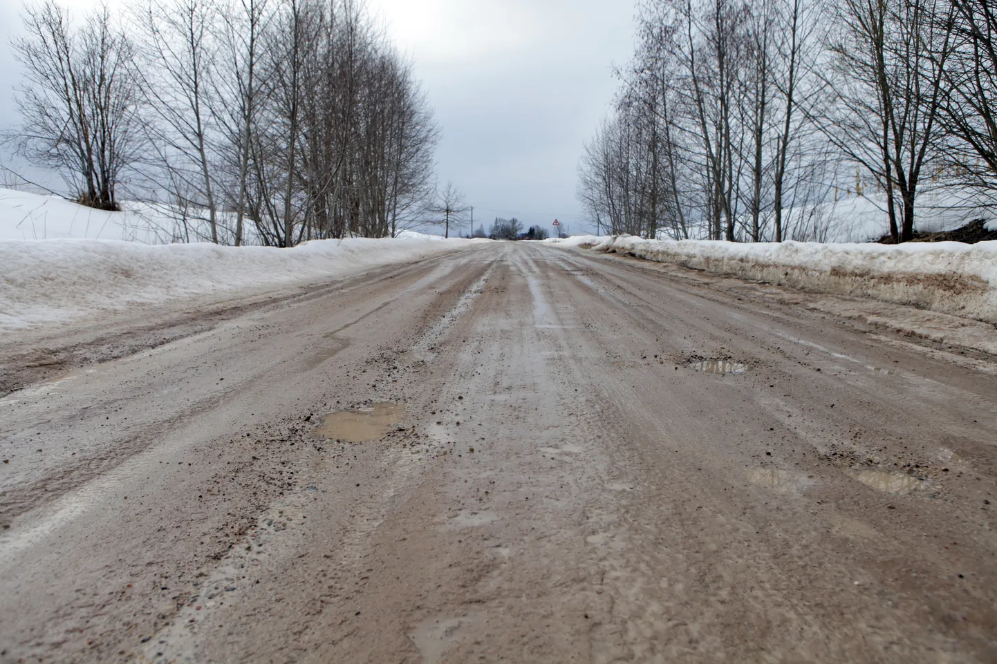 Фото статьи