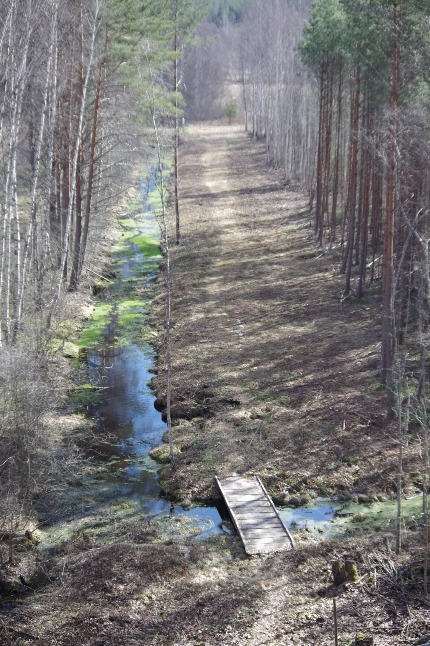Idapiiri lõik 2019. aasta kevadel: vasakule jääb Venemaa, paremale Eesti.