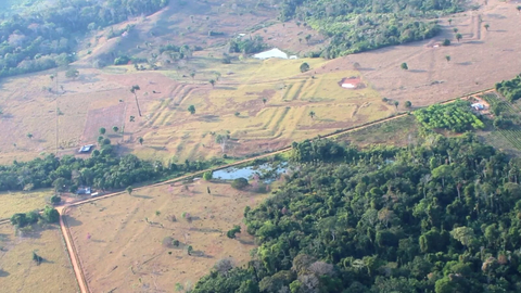Helsinki University scientists discover lost world in Amazon that shouldn't exist