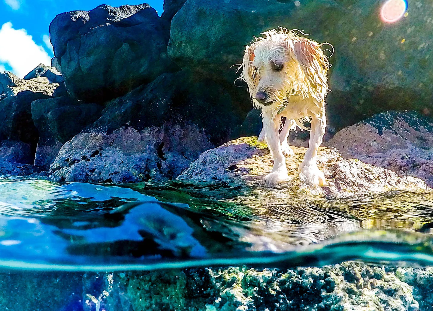 Artikli foto